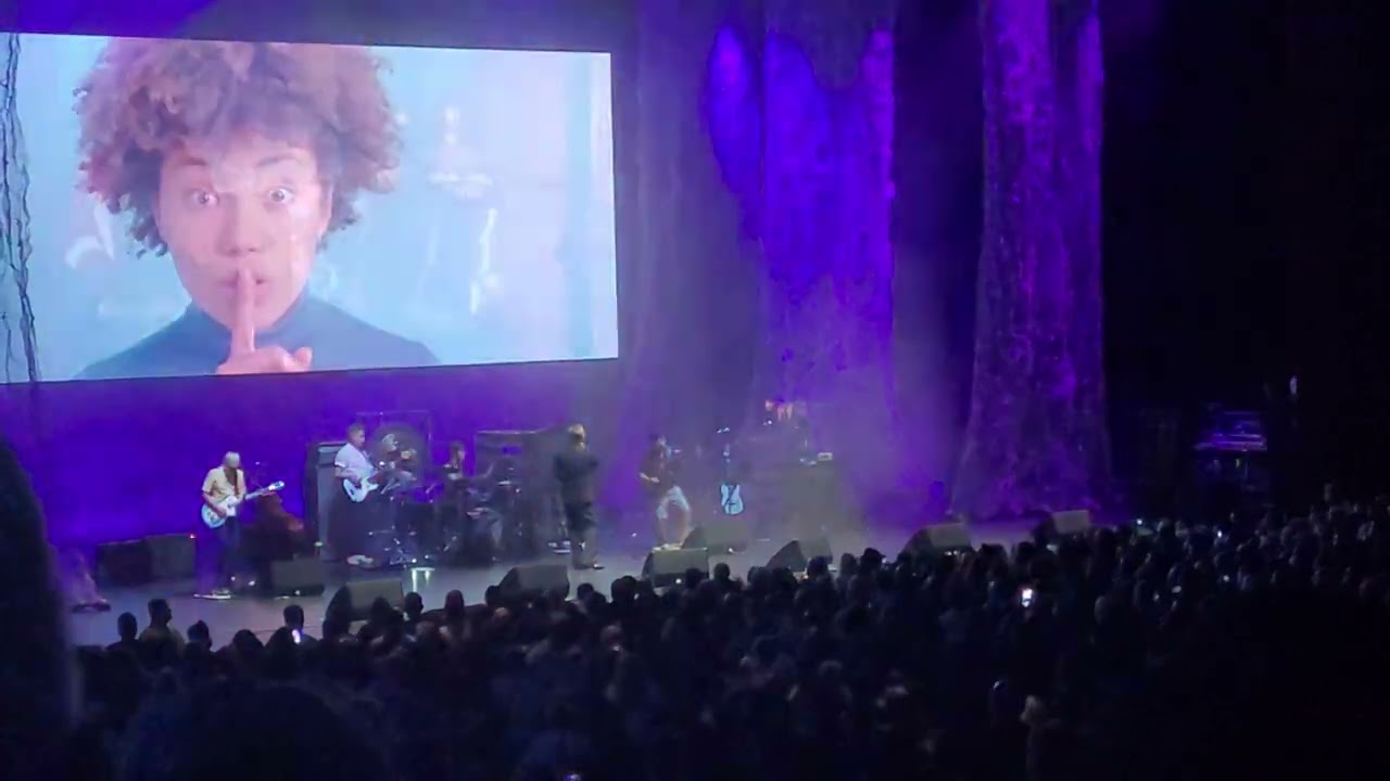 Morrissey - Notre-Dame (live)