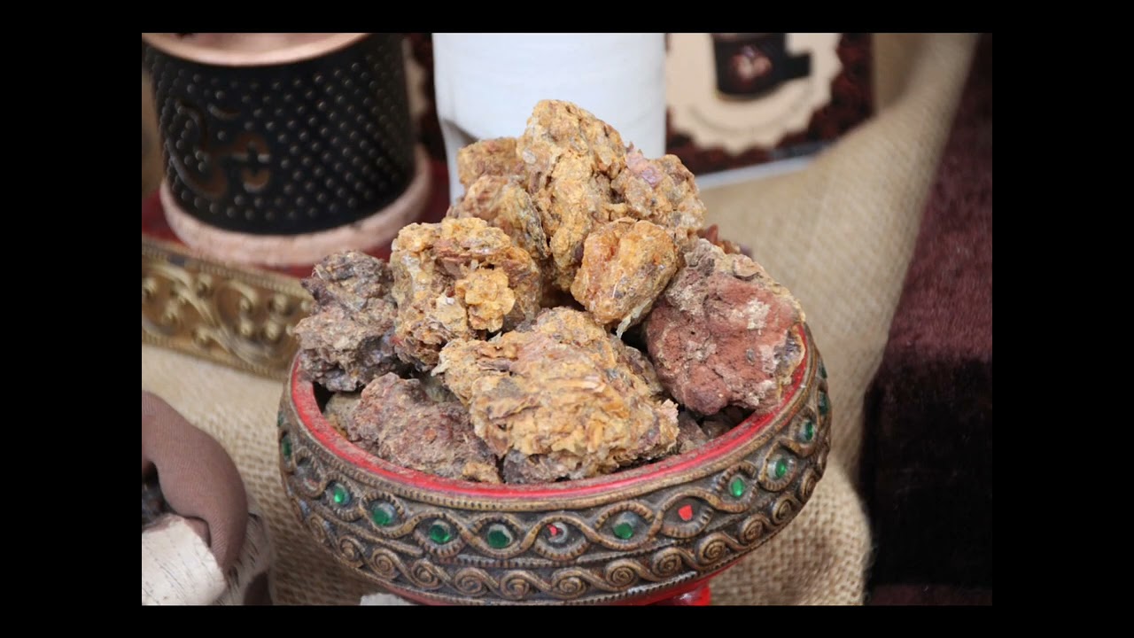 Gugul (Commiphora wightii): medicinal properties and health benefits of critically endangered plant
