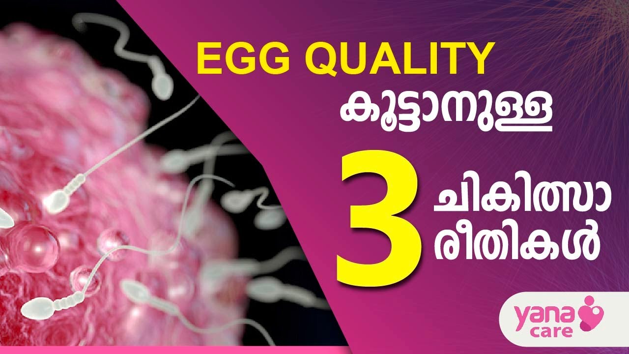 EGG QUALITY കൂട്ടാനുള്ള 3 ചികിത്സാ രീതികള്‍ | YANA | IVF| EGG QUALITY