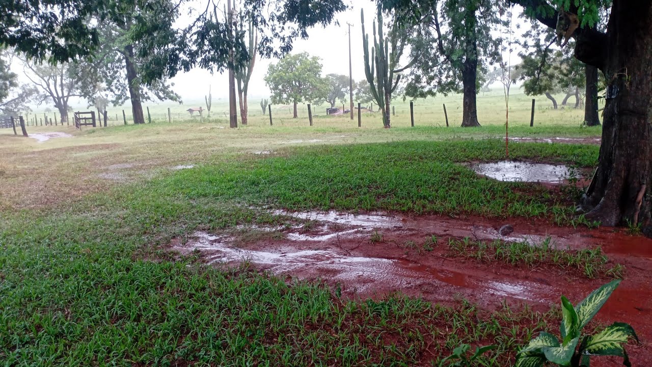 Graças à Deus chuva abençoada rotina do dia a dia 