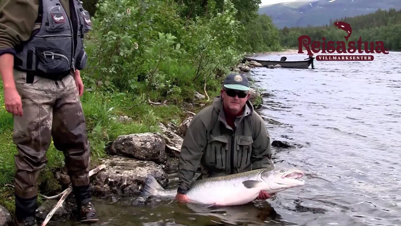 Reisastua Lodge - Big Salmon Fishing in Norway