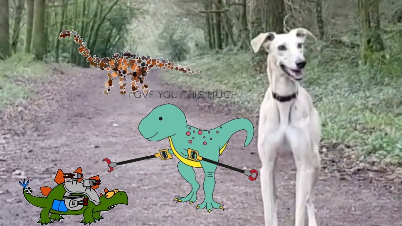 #3 The colligan Chronicles with blue the lurcher dog