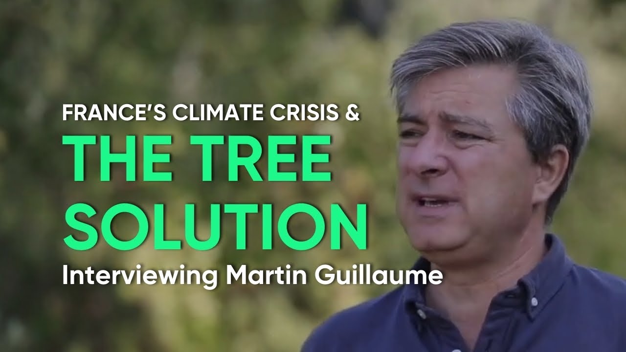 Interview Martin Guillaume - Founder and CEO of Green Praxis