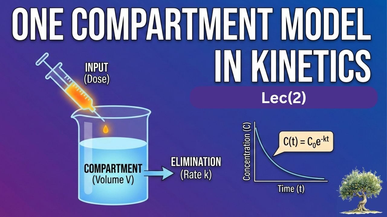 One compartment open model - pharmacokinetics- Level3