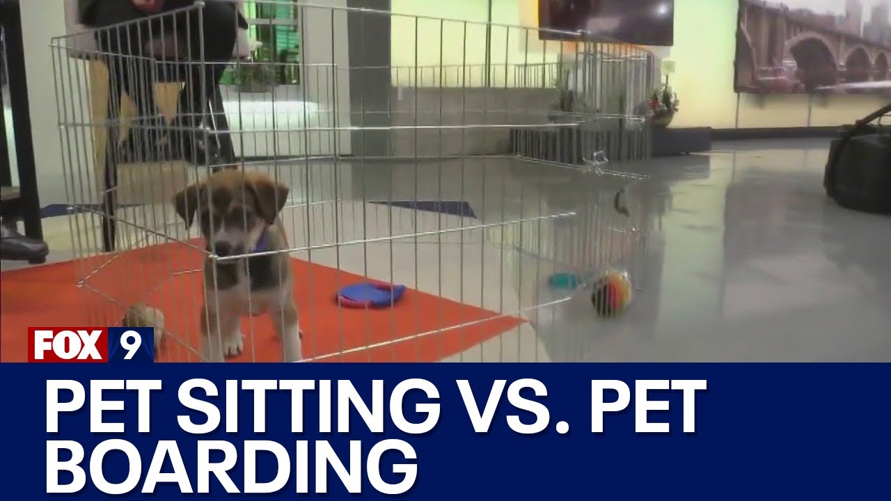 Pet sitting vs. pet boarding facilities: Advice from the animal humane society