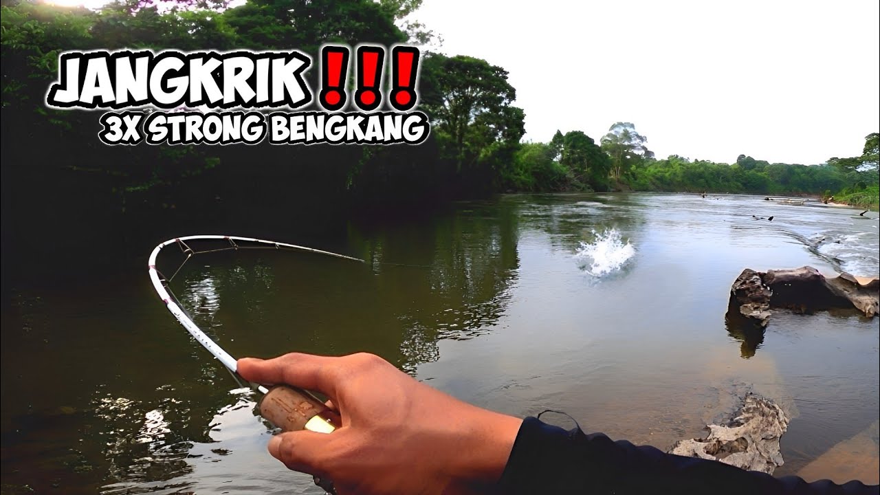 TRAVEL ROD ULTRALIGHT‼️Casting Hampala Pakai Minnow