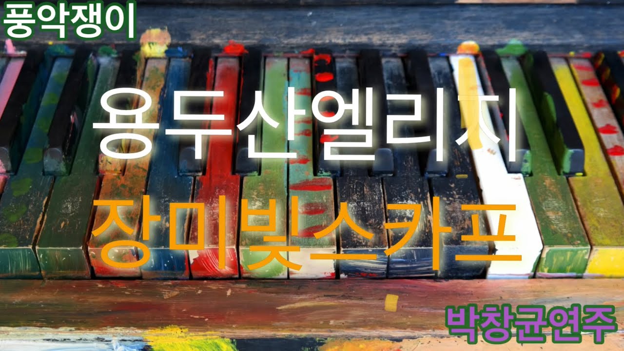 전자올겐 용두산엘리지 장미빛스카프 sx900