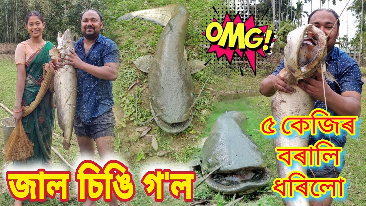 ৫ কেজিৰ বৰালি ।। তামাম মাছ পালো ।। Fishing With Husband ।। এঞ্জেলে miss কৰিলে ৷৷ Daily Vlog ।।
