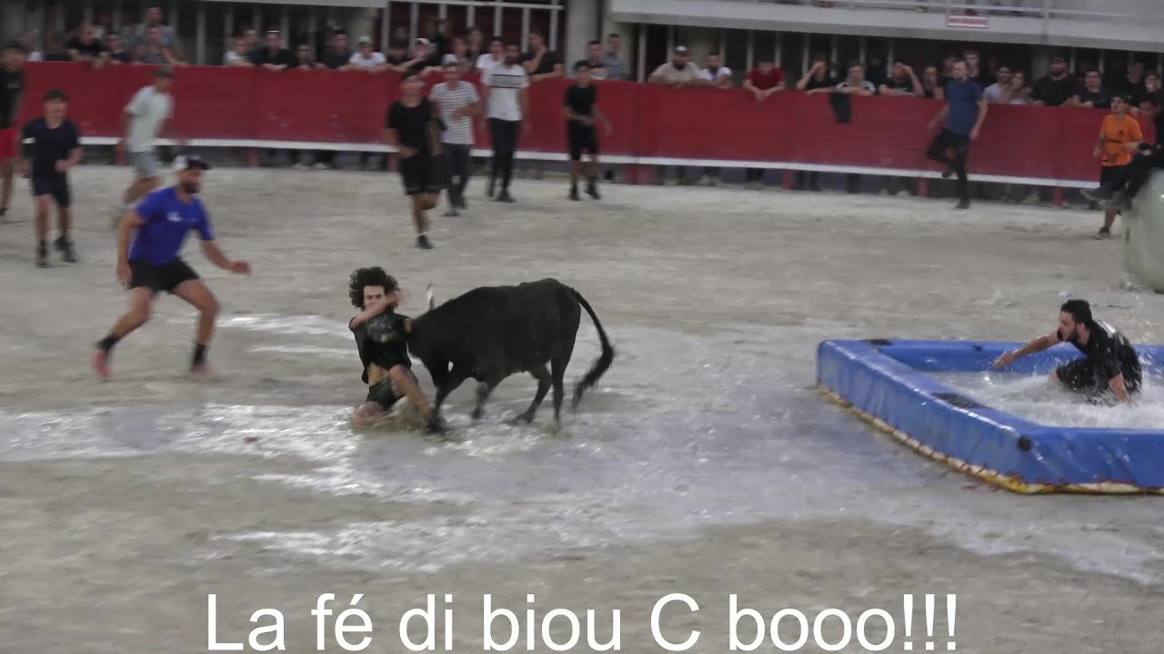 LUNEL ▶TAUREAU PISCINE◀ 18.06.2024 (manade La Vidourlenque).