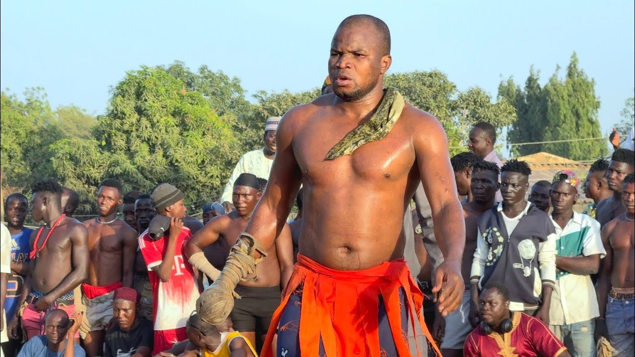 Garkuwan cindo 🆚️  Bahagon Audu Argungu, Damben festival 2026 