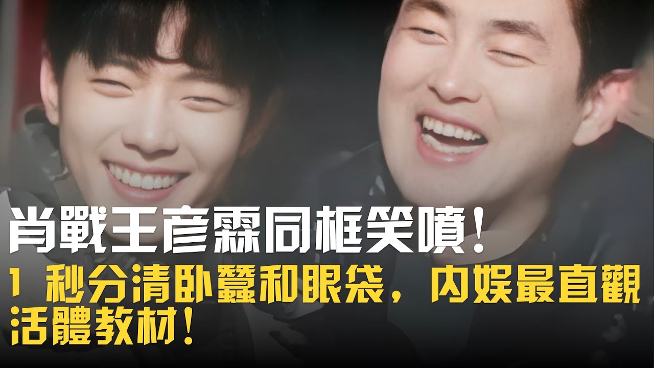 肖戰王彥霖同框笑噴！1 秒分清臥蠶和眼袋，內娛最直觀活體教材！