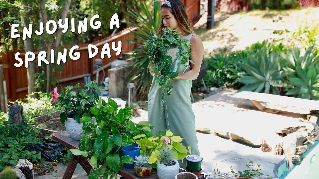 celebrating spring things | BUYING NEW HOUSE PLANTS 🌱