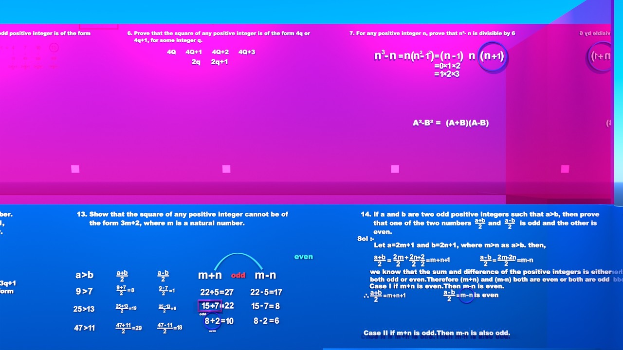 Exercise 1.1 Euclid's division Lemma(Real Numbers standard X R.D. Sharma) 3D Animation mathematics
