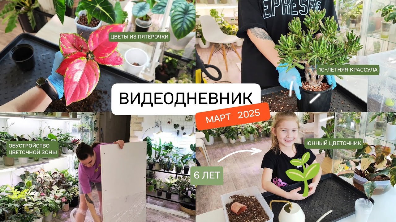 ВИДЕО ДНЕВНИК | цветы из пятёрочки, переделки цветочной зоны, посадки в 6 лет, цветочные лайфхаки