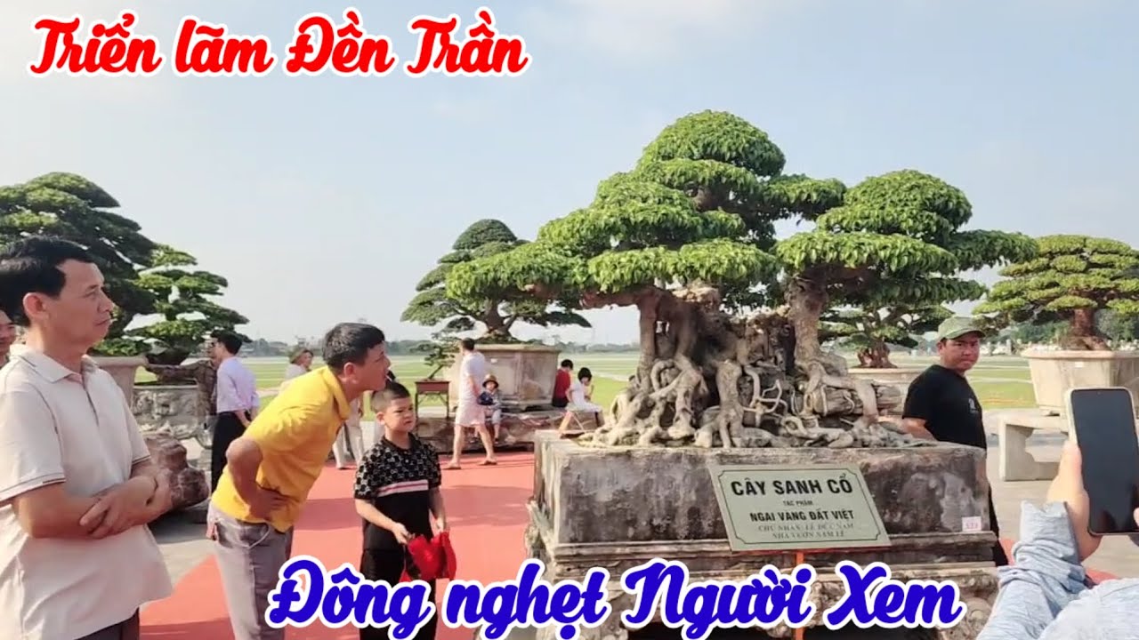 Đầu xuân thu hút hàng ngàn người xem triển lãm tại sân trưng bày Đền Trần Nam định 