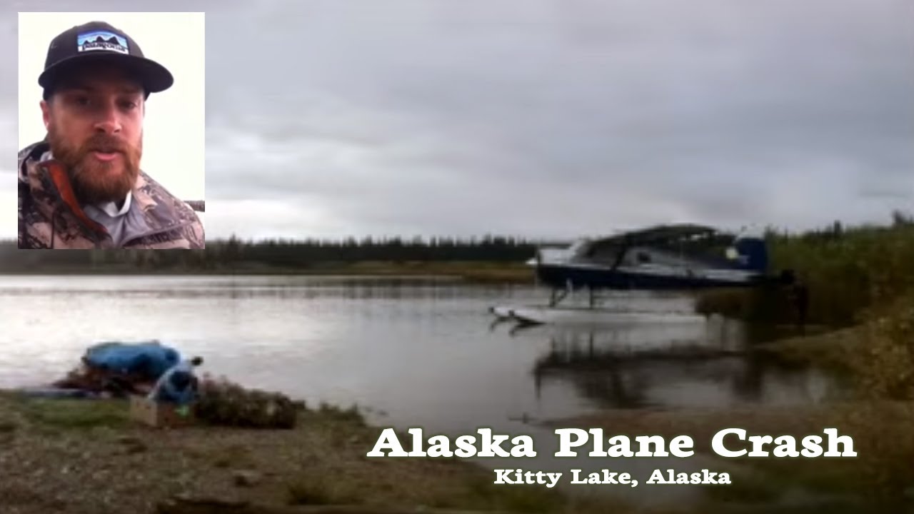 Brown Bear Hunting in Alaska Leads to Plane Crash