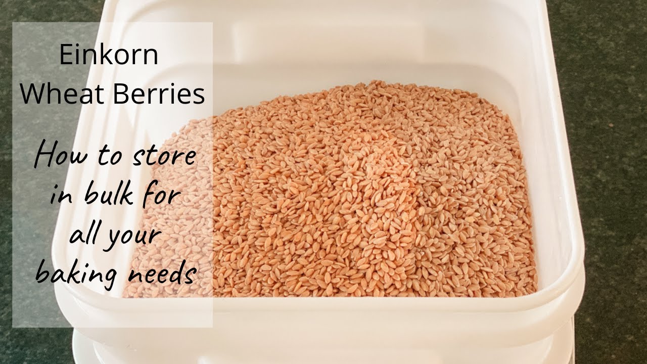 Einkorn Wheat Berries | HOW TO DO BULK STORAGE FOR YOUR PANTRY