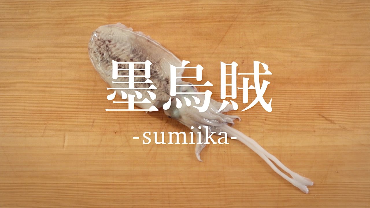 墨烏賊（すみいか）のさばき方 - How to filet Cuttlefish -｜日本さばけるプロジェクト（海と日本プロジェクト）