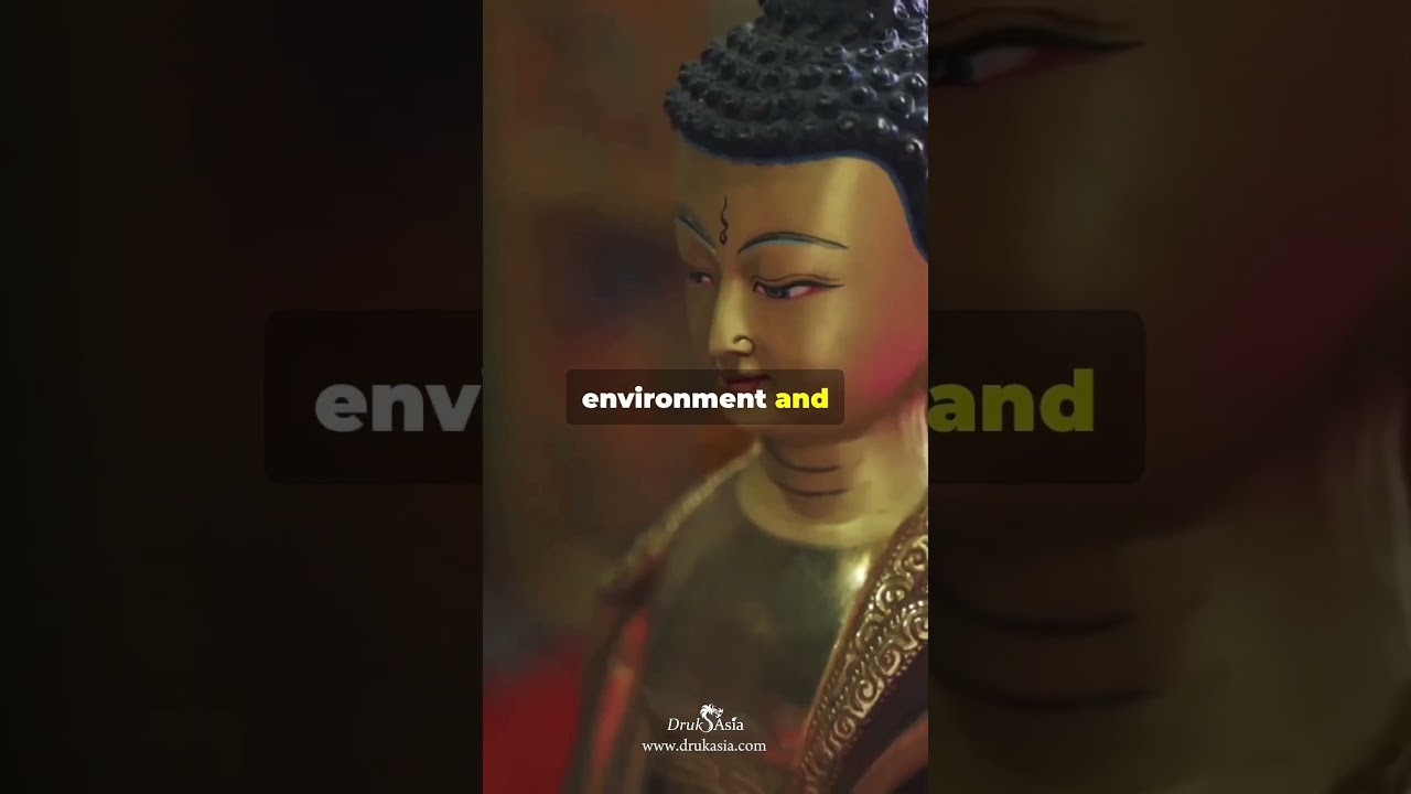 How to travel to Bhutan? Everything you need to know!