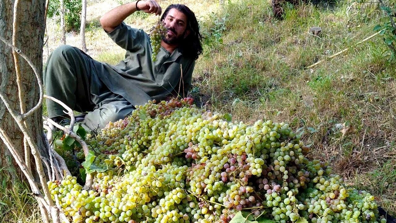 A unique combination of Walnuts and Grapes from the High Mountains of Pakistan | Salamat