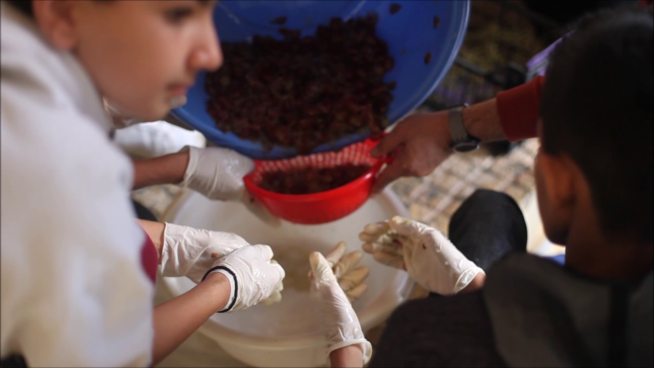 Grapes pressing
