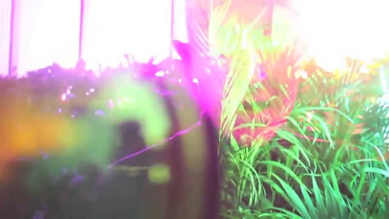 SOFTSPOT - Pickup Lines (official music video)