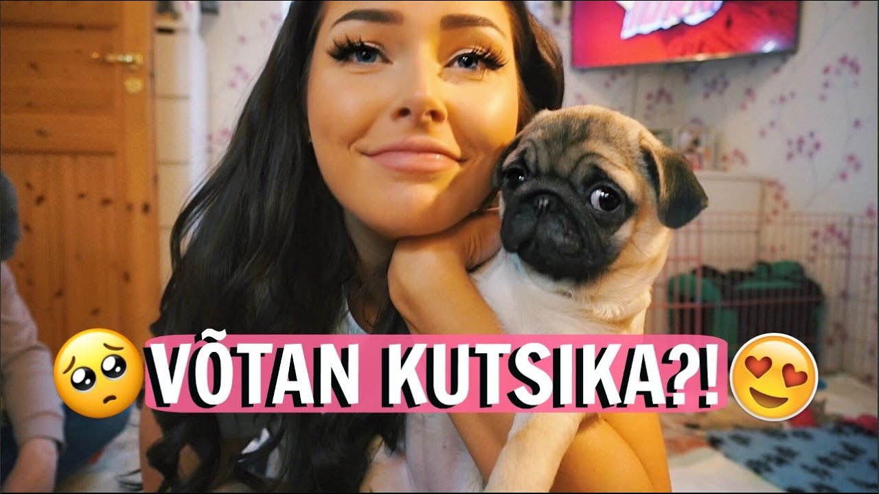 VÕTAN KUTSIKA?!