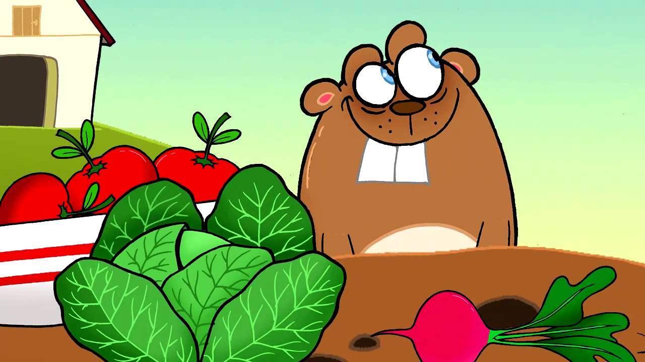 Zöldség, gyümölcs dal
