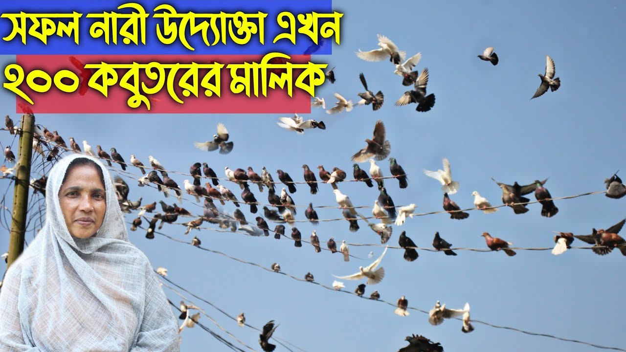 #147 মাত্র ১ বছরে ৫ জোরা কবুতর থেকে ২০০ কবুতরের মালিক নারী উদ্যোক্তা kobutor palon in bd