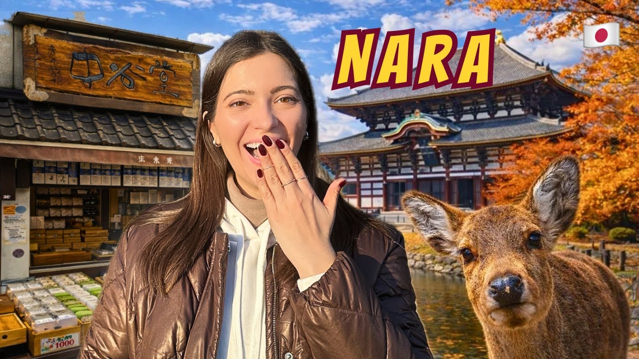 Однодневная поездка в Нару, Япония (кормление оленей, дегустация моти и посещение достопримечател...