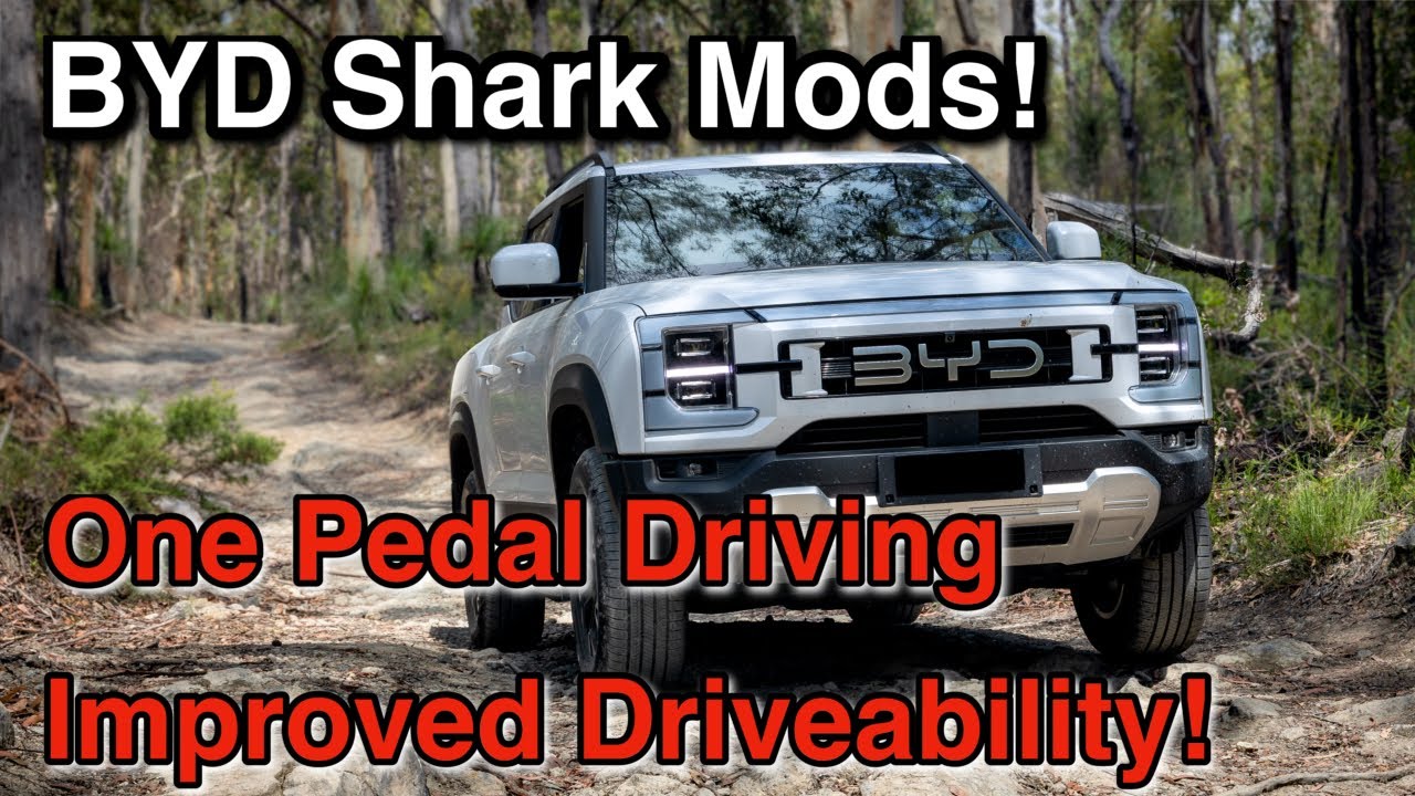 One Pedal Driving BYD Shark
