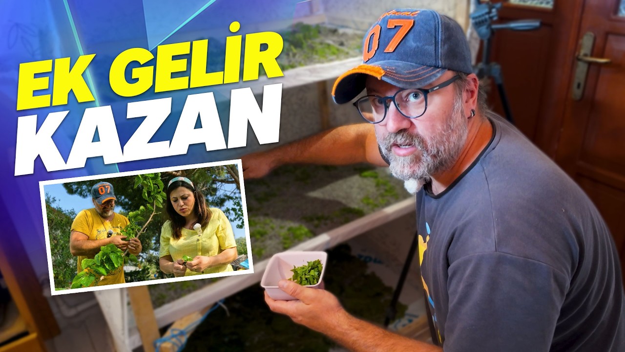 Ek Gelir Kazan, Zor Ama Mümkün: İpek Böceğiyle Gerçek Hikaye