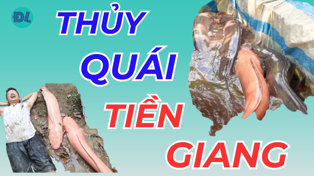 Phát hiện cặp 