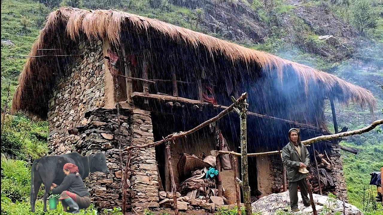 Best Life in A Himalayan Shepherd’s During the Rainy Day | Most Relaxing | Village Documentary Video