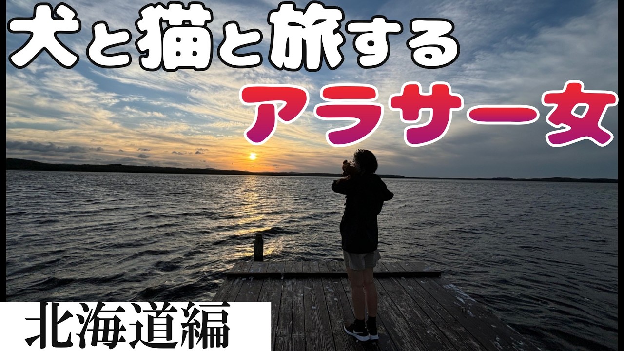 【最高すぎ…】初めての車中泊旅でオススメ沢山見つけてきた！【猫と犬と北海道旅行】