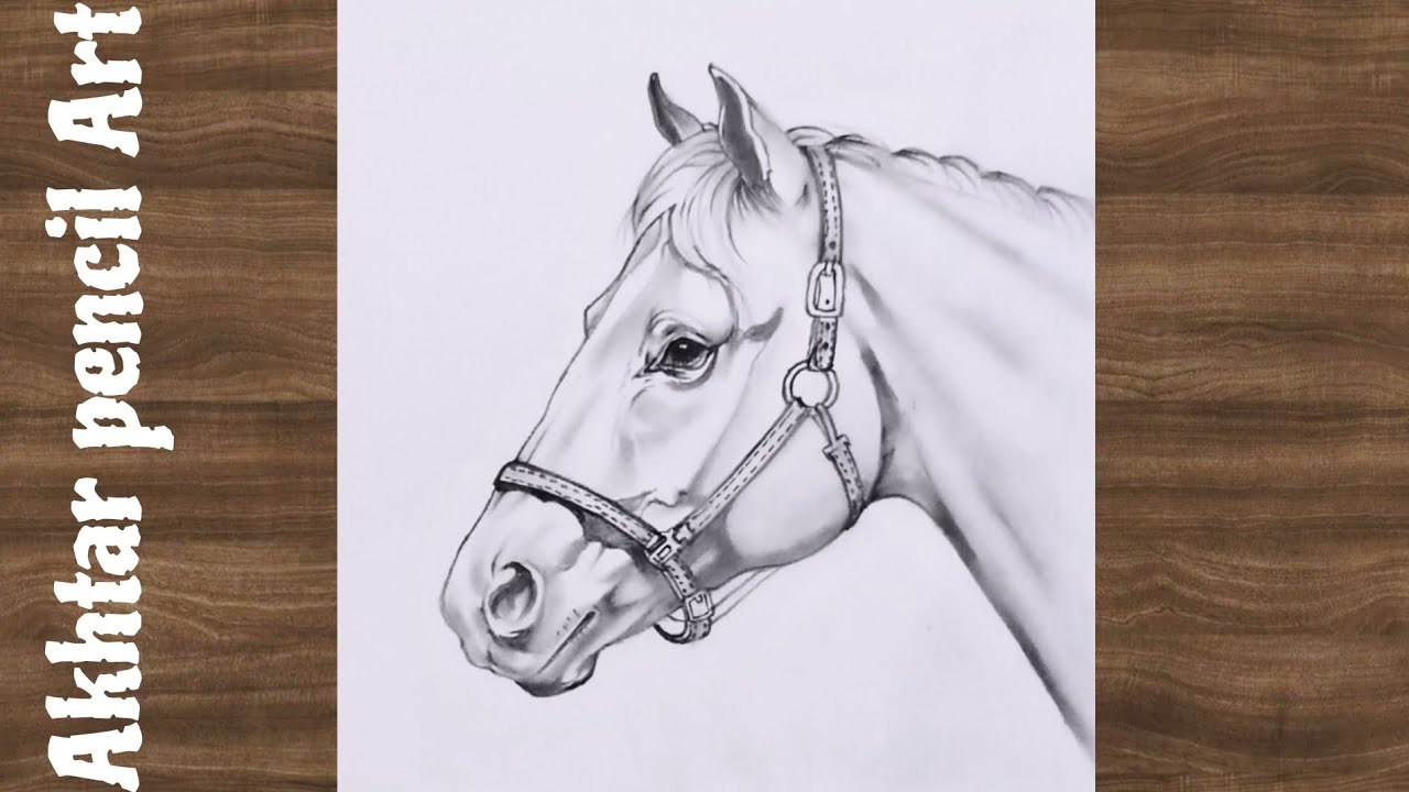 Horse Face Drawing Easy , Half Horse Drawing Tutorial , How To Draw A Horse , Animals Face Drawing 