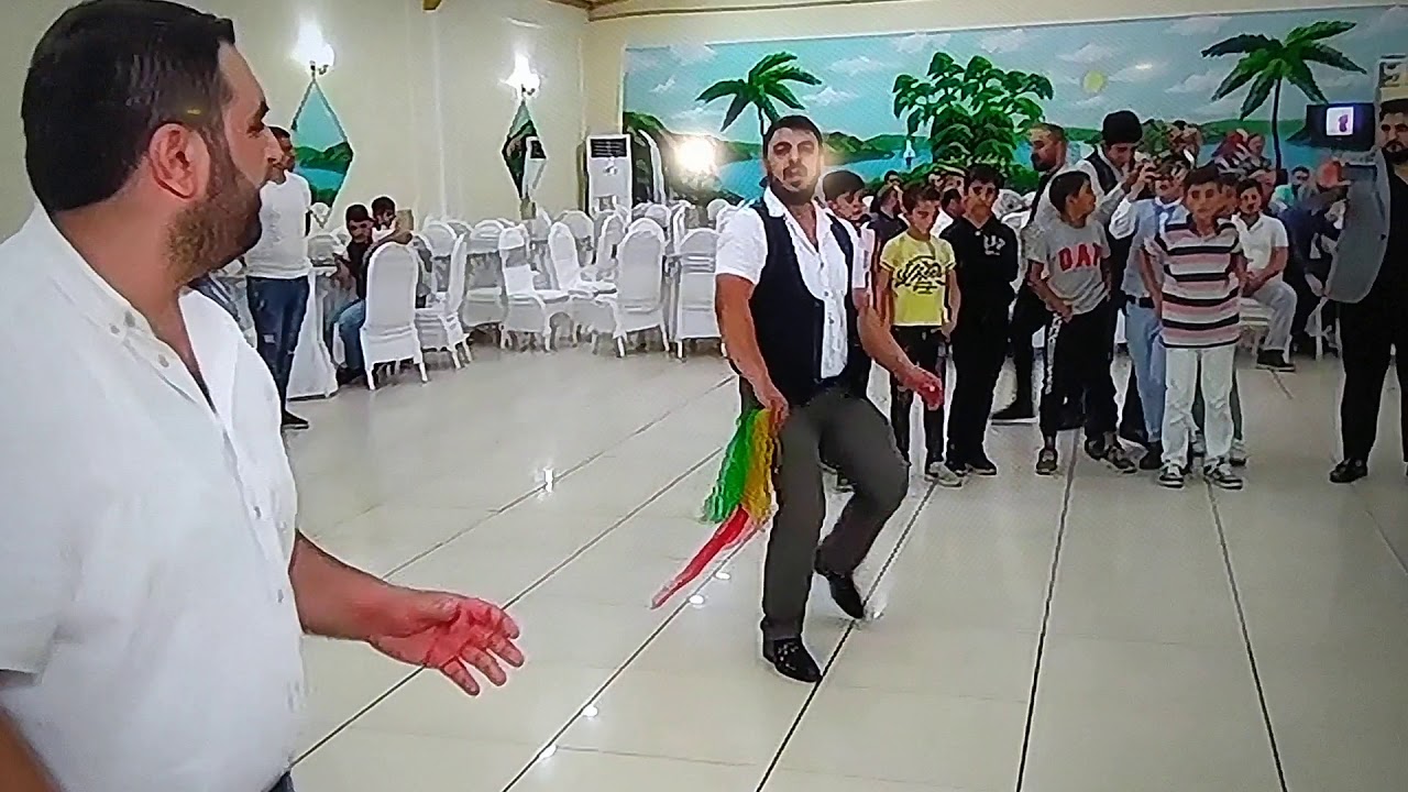 Sipan ailesi koçeri yakuşte Bursa  Muş Yücetepe