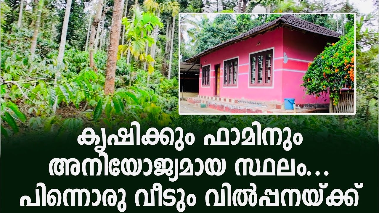 കൃഷിക്കും ഫാമിനും അനുയോജ്യമായ സ്ഥലവും ഒരു വീടും വില്പനക് | Land For Sale In Wayanad |Farm Land