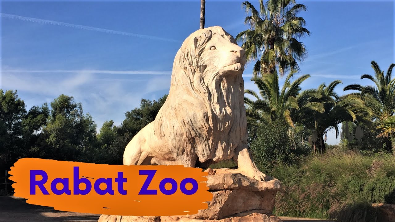 Rabat Zoo - Jardin Zoologique de Rabat - One of the Top Tourist Attractions of Rabat