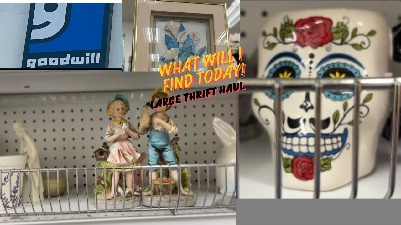 YOU NEVER KNOW WHAT YOU WILL FIND WHEN YOU THRIFT/GOODWILL THRIFT/HAUL