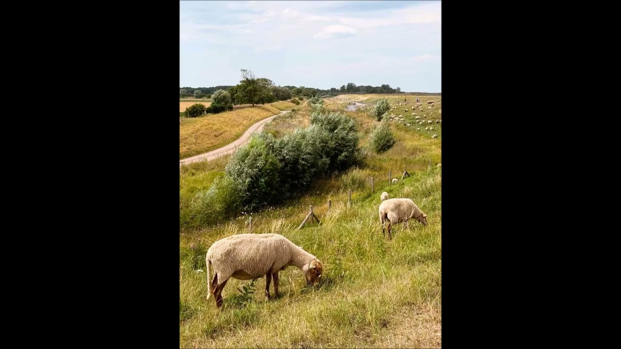***. beethoven  concerto pour piano en sol majeur, op. 58 ( m. pollini, b. haitink )