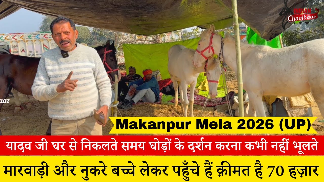 यादव जी घर से निकलते समय घोड़ों के दर्शन करना कभी नहीं भूलते Makanpur Mela 2026 (UP)