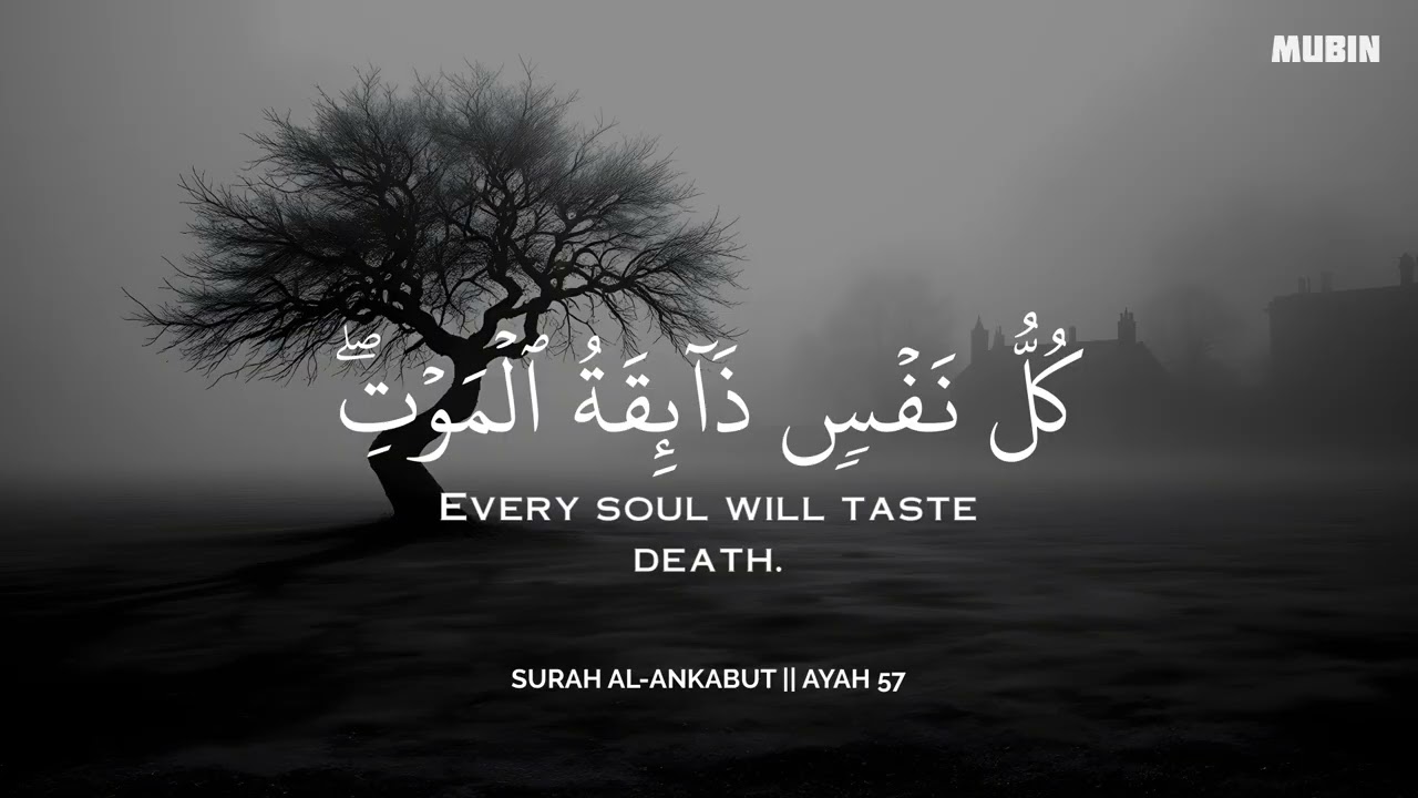 ساعة كاملة🕛🎧 | تلاوة تقشعر لها الأبدان بصوت محمد هشام | Reciter Mohamed Hesham | 💙🎧