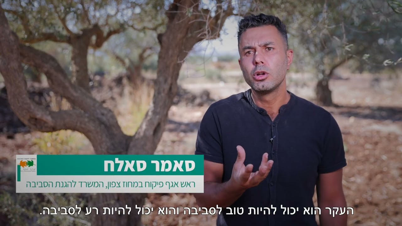 איך הופכים מטרד למשאב?