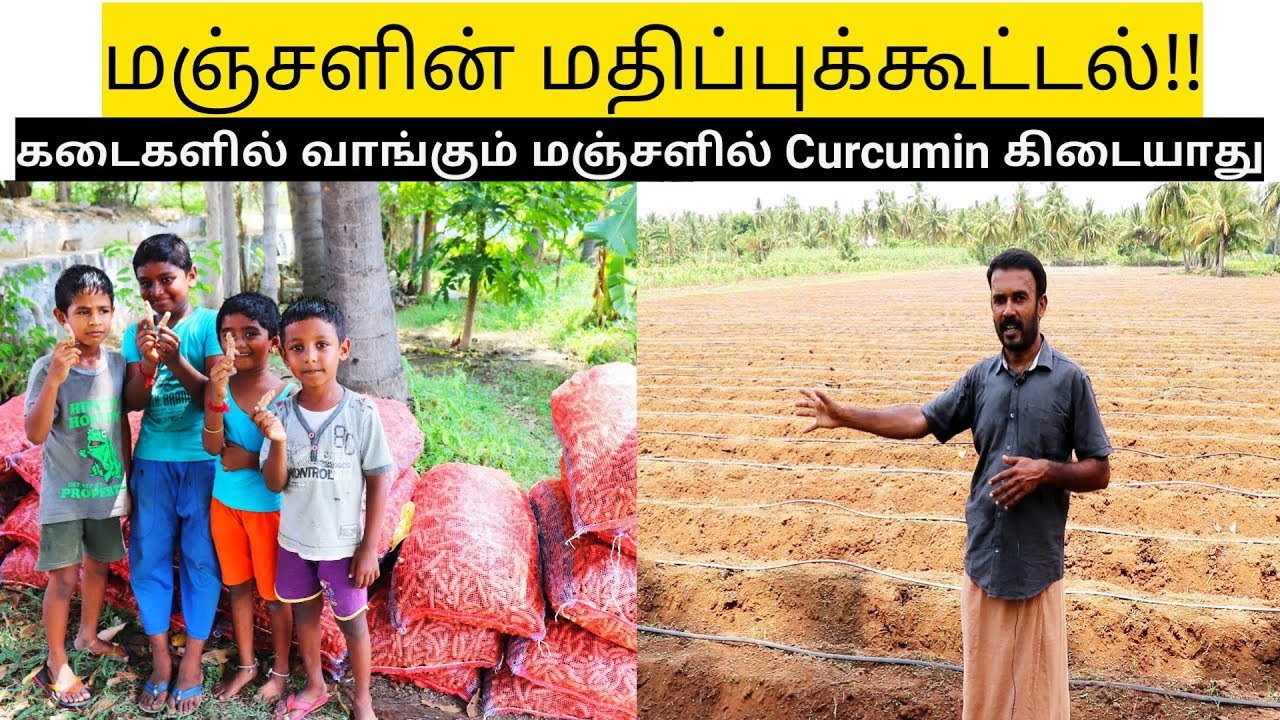 மஞ்சள் மதிப்புக்கூட்டல் & நேரடி சந்தைப்படுத்தலில் அதிக லாபம் !!