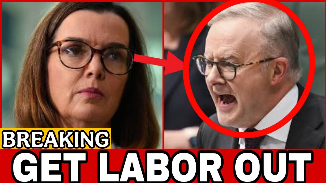 SHOCKING! Albanese LOSES IT as Anne Ruston Says The Government Has Been MISSING IN ACTION