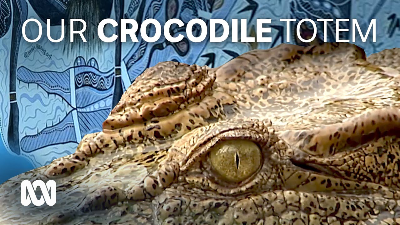 Crocodiles in Kowanyama hold an important cultural place, despite being feared 🐊 | ABC Australia