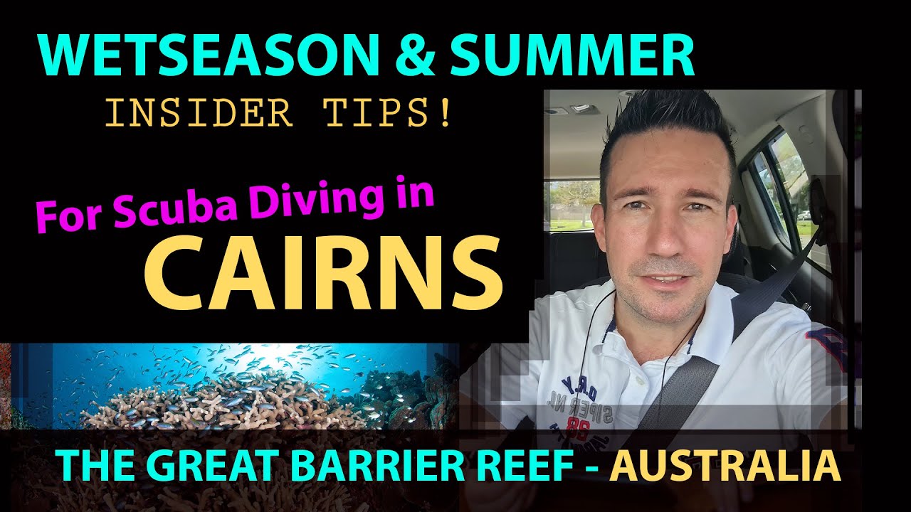 Insider Tips for - Scuba Diving Cairns in Summer the Wet Season!