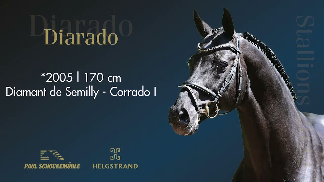 Diarado - Jumping Collection Schockemoehle & Helgstrand 2022 (ENG)