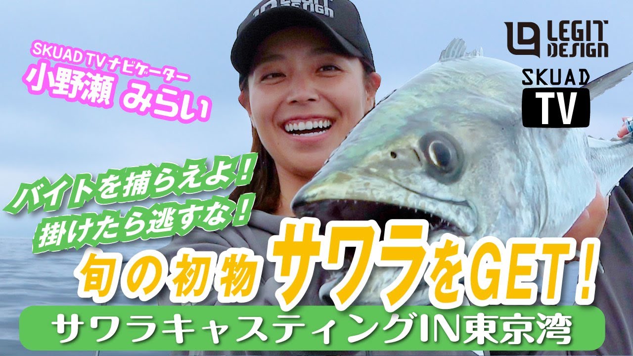 【SKUAD TV】【小野瀬みらい】サワラ編【レジットデザイン】【スクアド】【スクアドTV】